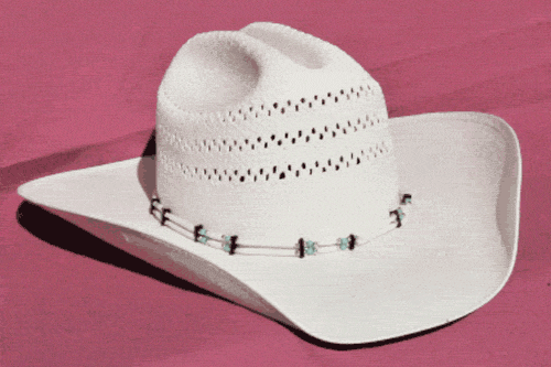White Bone Hairpipe, Silver and Turquoise Two Strand Bone Bead Cowboy Hat Band