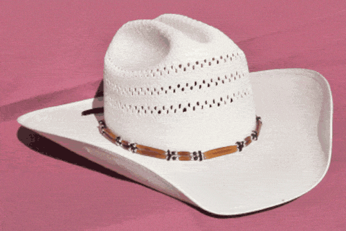 Brown Silver and Black Two Strand Bone Bead Hat Band