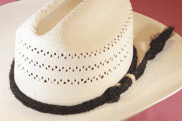 Black Two Strand Twisted Horse Hair Cowboy Hat Band