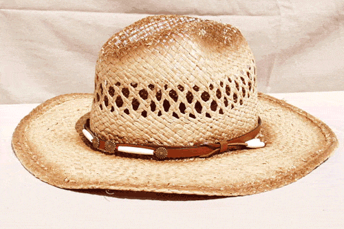 Lace Concho Brown Leather Hat Band