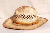 Imitation Alligator Hat Bands