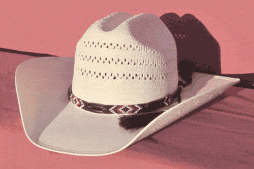 Black, Rust and White Diamonds Bone Bead Hat Band with Horse Hair Tassels