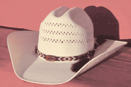 Rust, Black and White Bone Bead Hat Band with Horse Hair Tassels