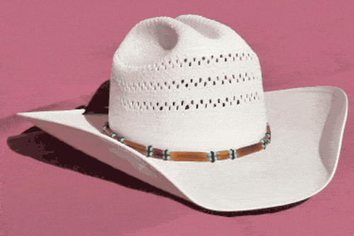 Brown and Turquoise Two Strand Bone Bead Hat Band