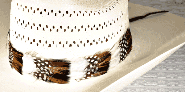 WESTERN COWBOY Feather Hatband tie for Cowboy hat - FHB-07