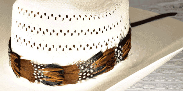 Brown Pheasant Feather Hat Band FHB01-B