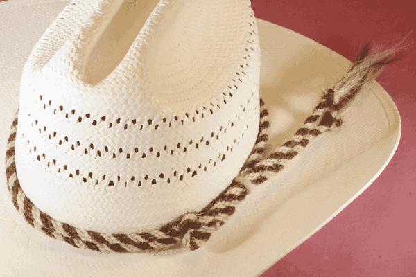 Brown and White Two Strand Twisted Horse Hair Hat Band