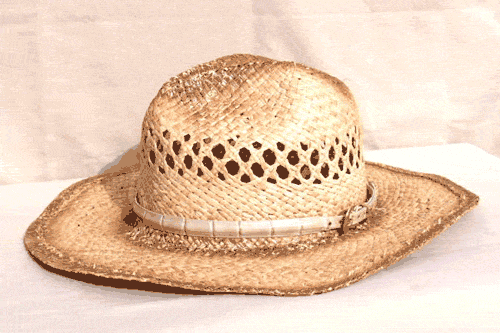 Bone Color Imitation Alligator Hat Band