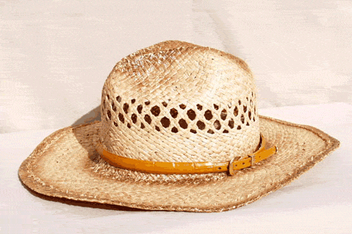 Buttercup Color Imitation Alligator Hat Band