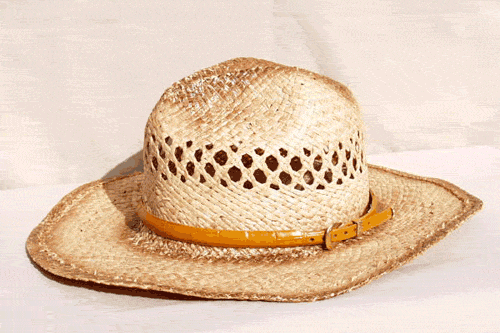 Buttercup Color Imitation  Alligator Hat Band