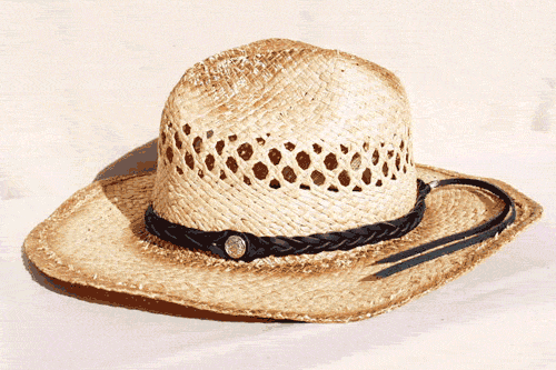 Black Mystery Braid Leather Cowboy Hat Band