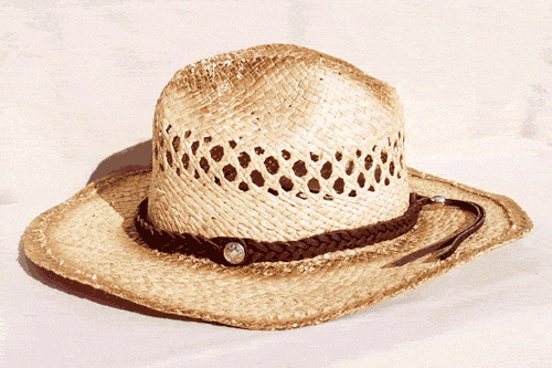 Brown Mystery Braid Leather Hat Band