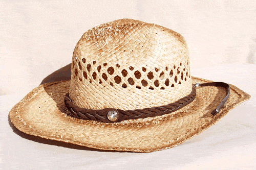 Brown Mystery Braid Suede Cowboy Hat Band