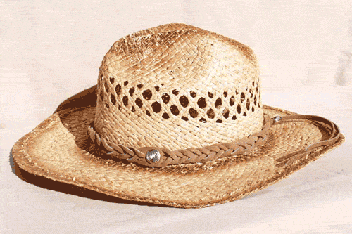 Tan Braided Suede Hat Band
