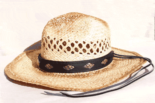 Black Leather Snakeskin Hat Band