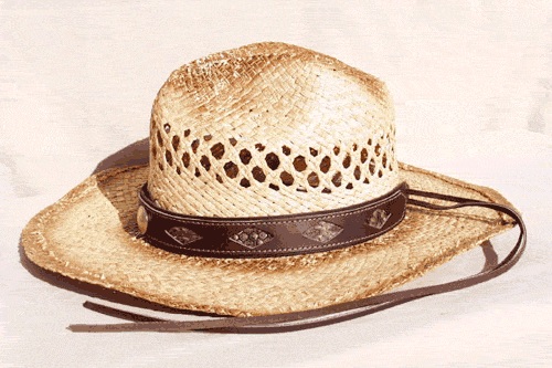 Brown Leather Rattlesnake Snakeskin Inlay Hat Band