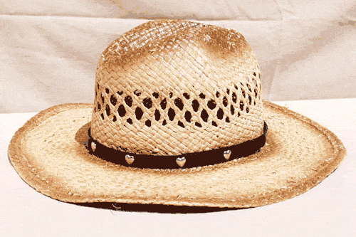 Leather Hat Band