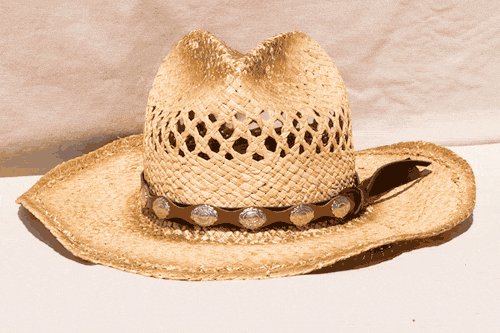 Black and Brown Leather Hat Band with Oval Conchos