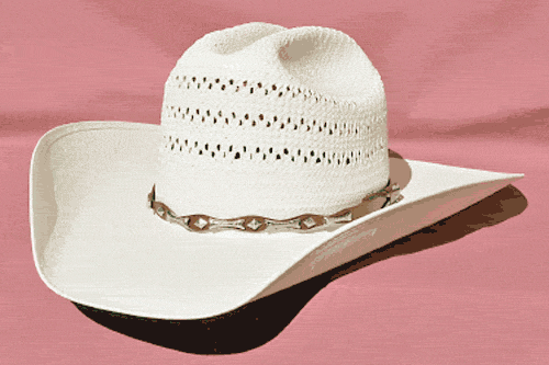 10X Purple Bead Leathercraft Western Cowboy Hatband Belt Slotted Concho 1-1/2" 